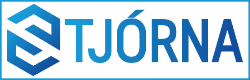STJÓRNA